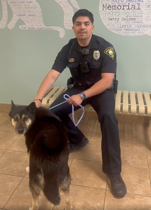 Salina Police Department Spotlights Adoptable Dog 'Mr. Krabs' in Wanted Wednesday Feature