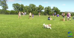 Parks Department Implementing Enhanced Maintenance Plan for Barkley Park Turf