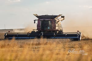 Kansas Wheat Harvest Begins Slowly Amid Weather Challenges