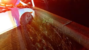 Woman Injured in Early Morning Crash After Swerving to Avoid Skunk