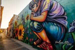 Check Out BOOM! Salina’s Five New Murals — Plus a Conversation with Artist Mindy Allen