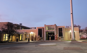 When the Watchdog Goes Blind