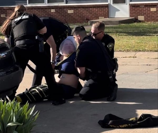 Salina Resident Faces Charges Including Interference with Law